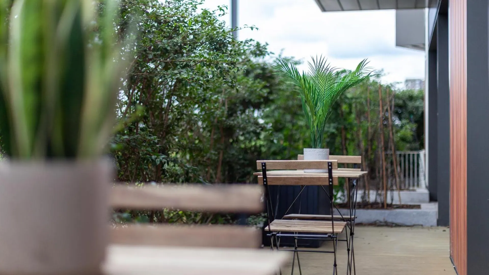 The River Thames Collection Apartment London